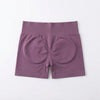 Seamless High-Waisted Fitness Shorts